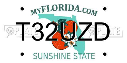 T32UZD Florida License Plate