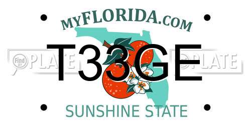 T33GE Florida License Plate