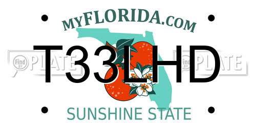 T33LHD Florida License Plate
