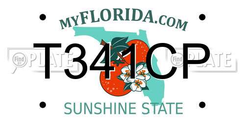 T341CP Florida License Plate