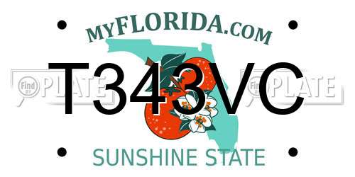 T343VC Florida License Plate