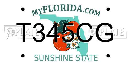 T345CG Florida License Plate