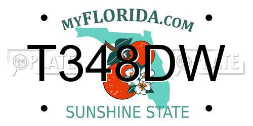 T348DW Florida License Plate