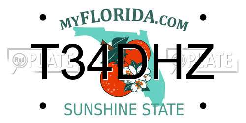 T34DHZ Florida License Plate