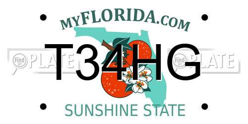 T34HG Florida License Plate