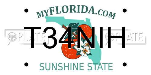 T34NIH Florida License Plate