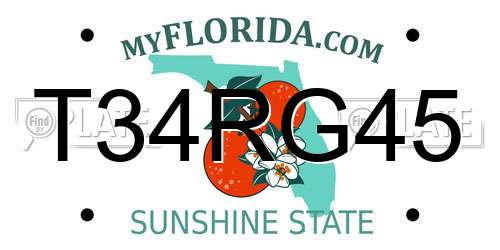 T34RG45 Florida License Plate