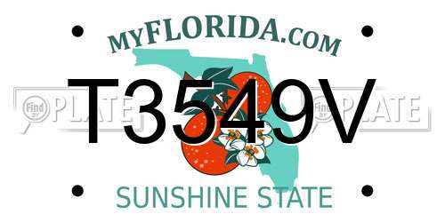 T3549V Florida License Plate