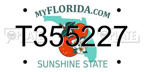 T355227 Florida License Plate
