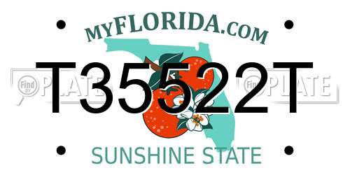 T35522T Florida License Plate