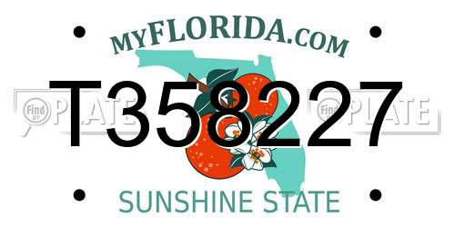 T358227 Florida License Plate
