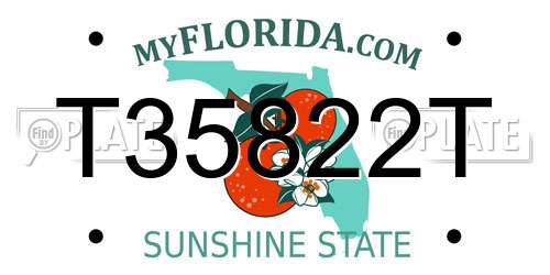 T35822T Florida License Plate