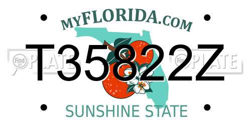 T35822Z Florida License Plate