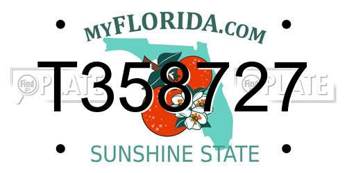 T358727 Florida License Plate