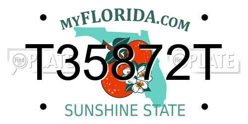 T35872T Florida License Plate