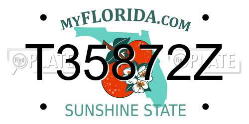 T35872Z Florida License Plate