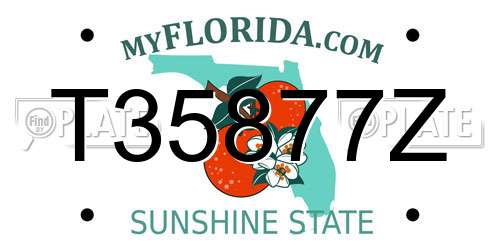 T35877Z Florida License Plate