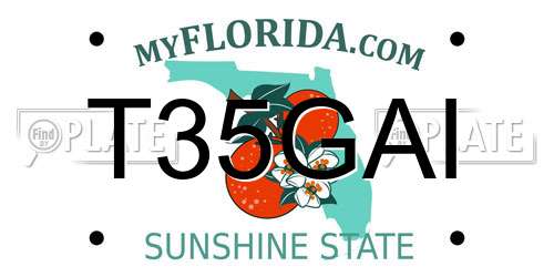 T35GAI Florida License Plate