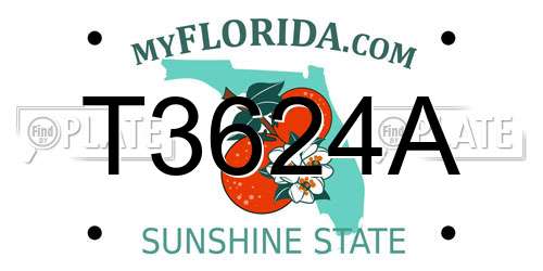 T3624A Florida License Plate