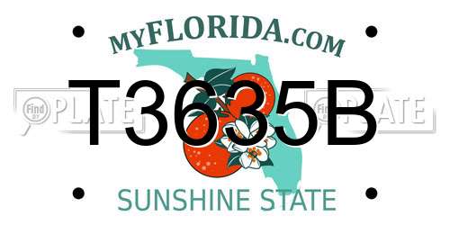 T3635B Florida License Plate
