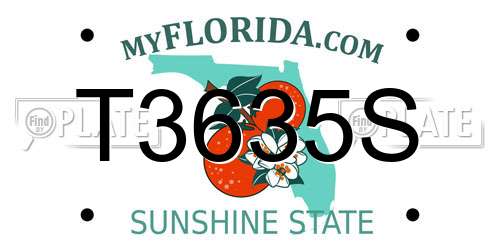 T3635S Florida License Plate