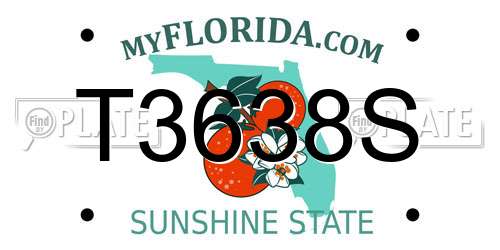T3638S Florida License Plate