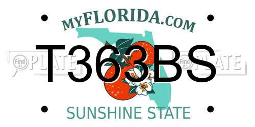 T363BS Florida License Plate