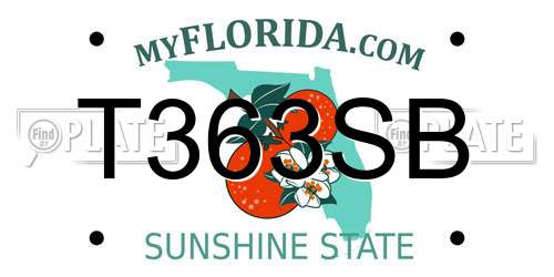T363SB Florida License Plate