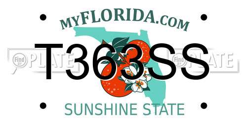 T363SS Florida License Plate