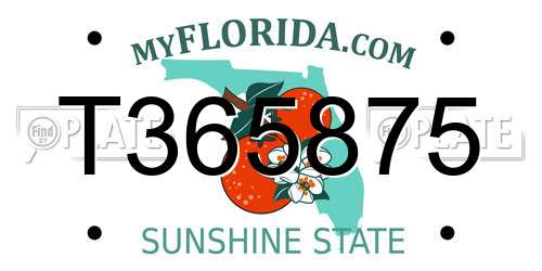 T365875 Florida License Plate