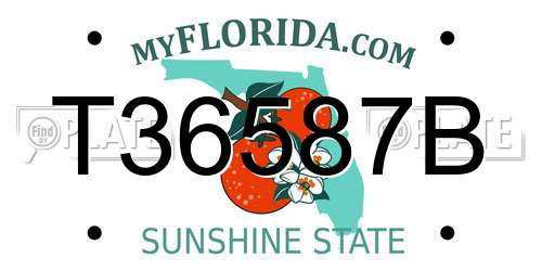 T36587B Florida License Plate