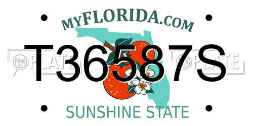 T36587S Florida License Plate