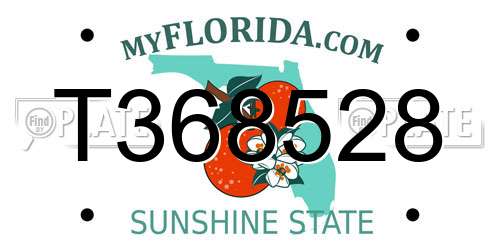 T368528 Florida License Plate
