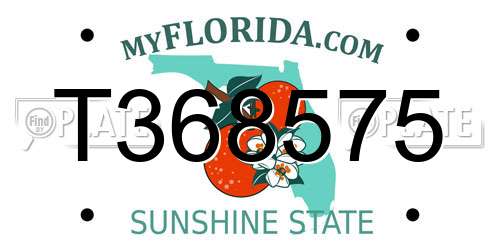 T368575 Florida License Plate