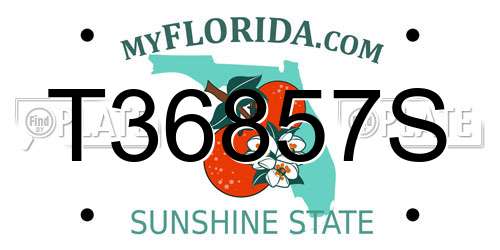 T36857S Florida License Plate