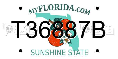 T36887B Florida License Plate
