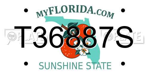 T36887S Florida License Plate