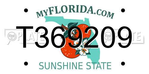 T369209 Florida License Plate