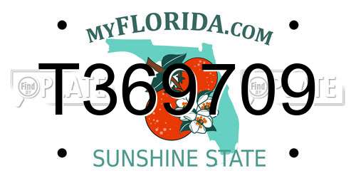 T369709 Florida License Plate