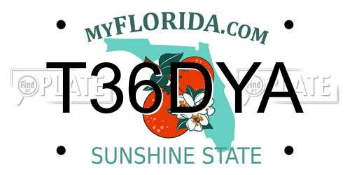 T36DYA Florida License Plate