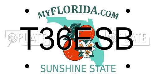 T36ESB Florida License Plate
