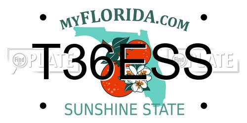 T36ESS Florida License Plate
