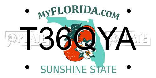 T36QYA Florida License Plate