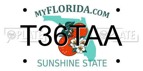 T36TAA Florida License Plate