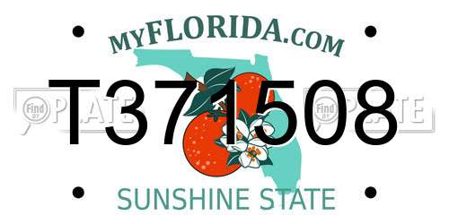 T371508 Florida License Plate