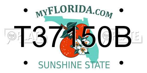 T37150B Florida License Plate