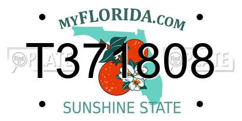 T371808 Florida License Plate
