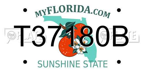 T37180B Florida License Plate