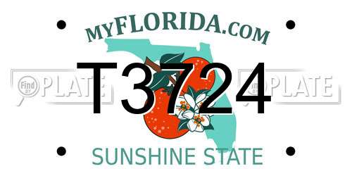 T3724 Florida License Plate