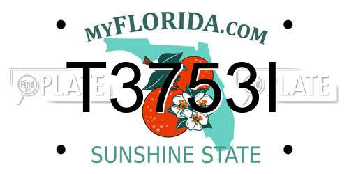 T3753I Florida License Plate